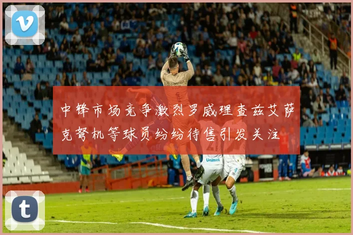 中锋市场竞争激烈罗威理查兹艾萨克弩机等球员纷纷待售引发关注