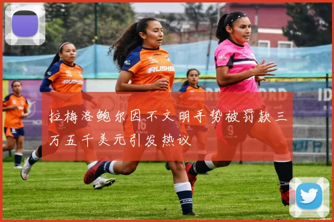 拉梅洛鲍尔因不文明手势被罚款三万五千美元引发热议